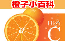 橙子和橘子的區(qū)別 橙子和橘子哪個容易上火