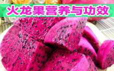 火龍果的含糖量 火龍果減肥能吃嗎