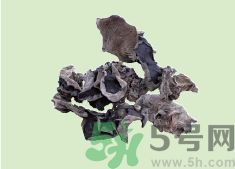 高血壓可以吃黑木耳嗎？木耳降血壓的做法有哪些？