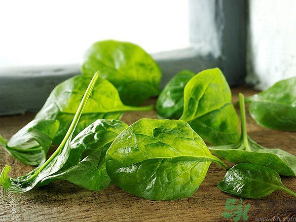 缺鐵有什么癥狀和危害？含鐵高的食物有哪些？