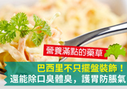 吃芹菜可以去口臭嗎？口臭可以吃芹菜嗎？