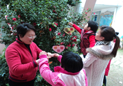 植樹節(jié)是幾月幾日？植樹節(jié)可以做些什么活動？