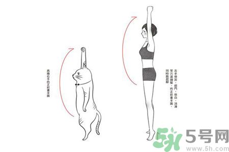 電腦族肩膀痛疼怎么辦？肩膀痛疼怎么解決？