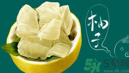 多吃柚子能減肥嗎？怎樣吃柚子才健康？