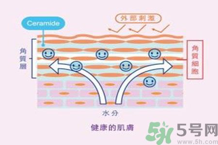 皮膚炎癢是怎么回事？皮膚炎發(fā)作怎么治療？