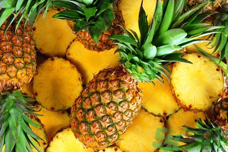 菠蘿和鳳梨有什么區(qū)別？菠蘿和鳳梨誰更好吃？