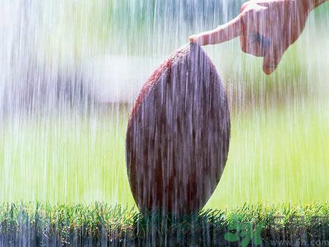 濕氣重的癥狀？怎么去除體內(nèi)的濕氣？