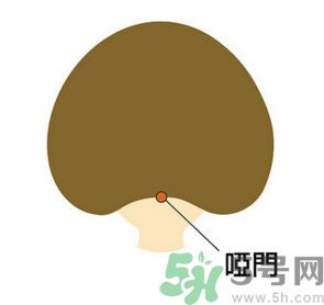 臉總是腫腫的怎么辦？臉有點浮腫怎么消腫？
