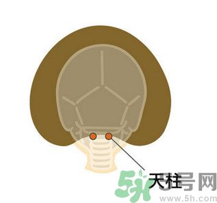 臉總是腫腫的怎么辦？臉有點浮腫怎么消腫？