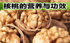 核桃有白毛但是仁沒壞能吃嗎 核桃有保質(zhì)期嗎