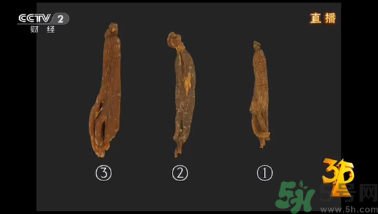 紅參怎么挑選？紅參摻糖怎么辯解？