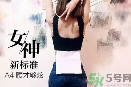B5腰圍比A4腰圍更好？B5腰是什么意思？