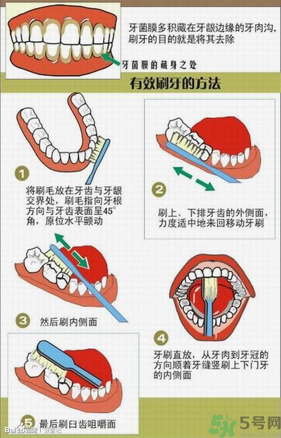 18歲還能戴牙套嗎？戴牙套真的能瘦臉改變臉型嗎？