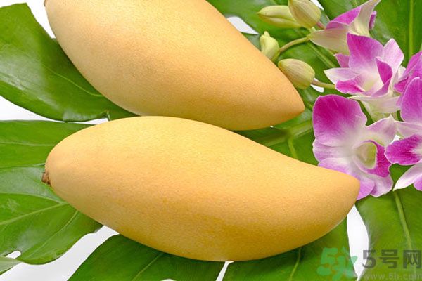 吃芒果嘴唇過敏怎么辦？為什么吃了芒果后嘴巴癢？