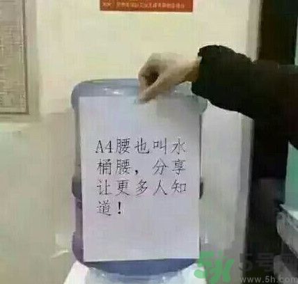 a4腰也叫水桶腰是什么意思？a4腰也叫水桶腰圖片？ 