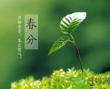 春分時養(yǎng)生要注意什么？春分要預防哪些疾??？