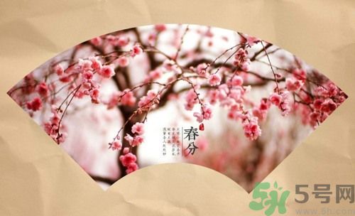 春分時養(yǎng)生要注意什么？春分要預防哪些疾??？