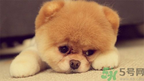 睡覺(jué)能戴手表嗎？睡覺(jué)不能帶的東西有哪些？