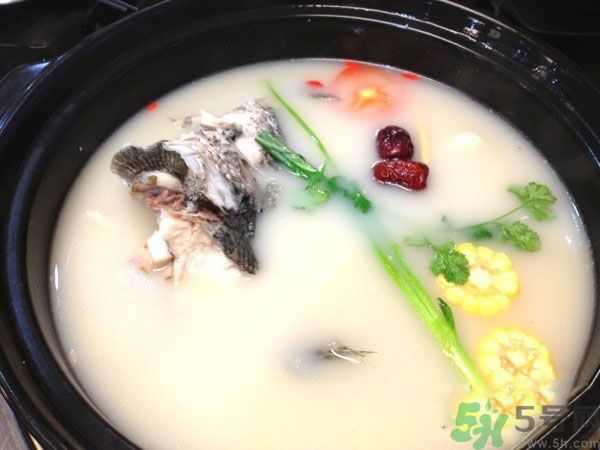 煲魚湯怎么去腥？家常魚湯做法有哪些？