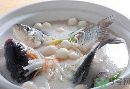 煲魚湯怎么去腥？家常魚湯做法有哪些？