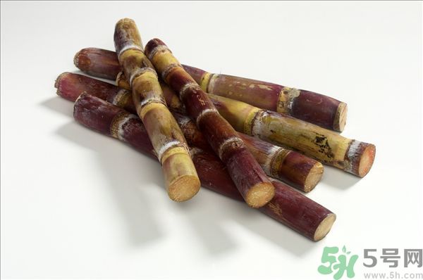 清明節(jié)能吃甘蔗嗎？清明節(jié)吃甘蔗會中毒嗎？