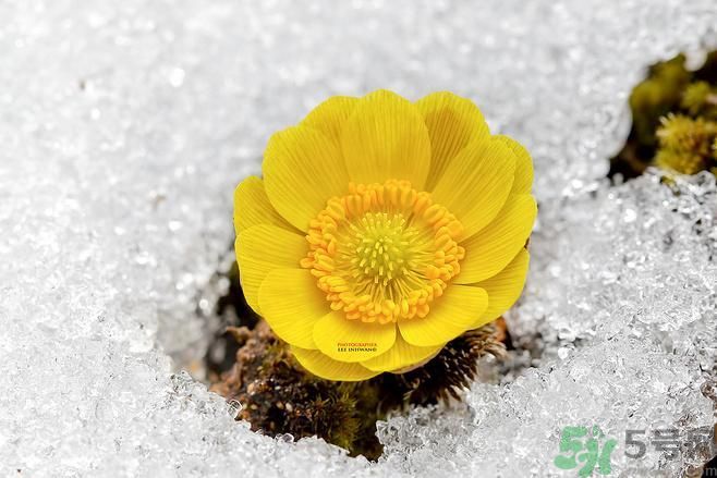 清明節(jié)有哪些習(xí)俗？清明節(jié)習(xí)俗的來源？