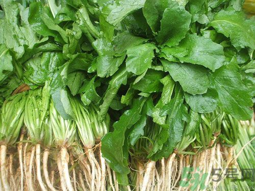 薺菜是發(fā)物嗎？薺菜是不是發(fā)物？