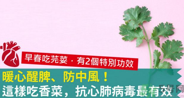 春天吃香菜好嗎？春天吃香菜有什么好處？