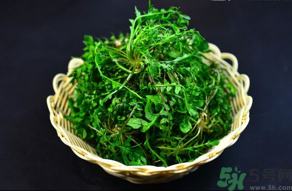 薺菜根能吃嗎？薺菜要去根吃嗎？