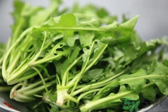 薺菜為什么要焯水？薺菜要用開(kāi)水燙嗎？