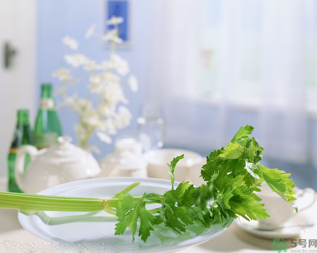 芹菜可以減肥嗎？芹菜有什么功效？
