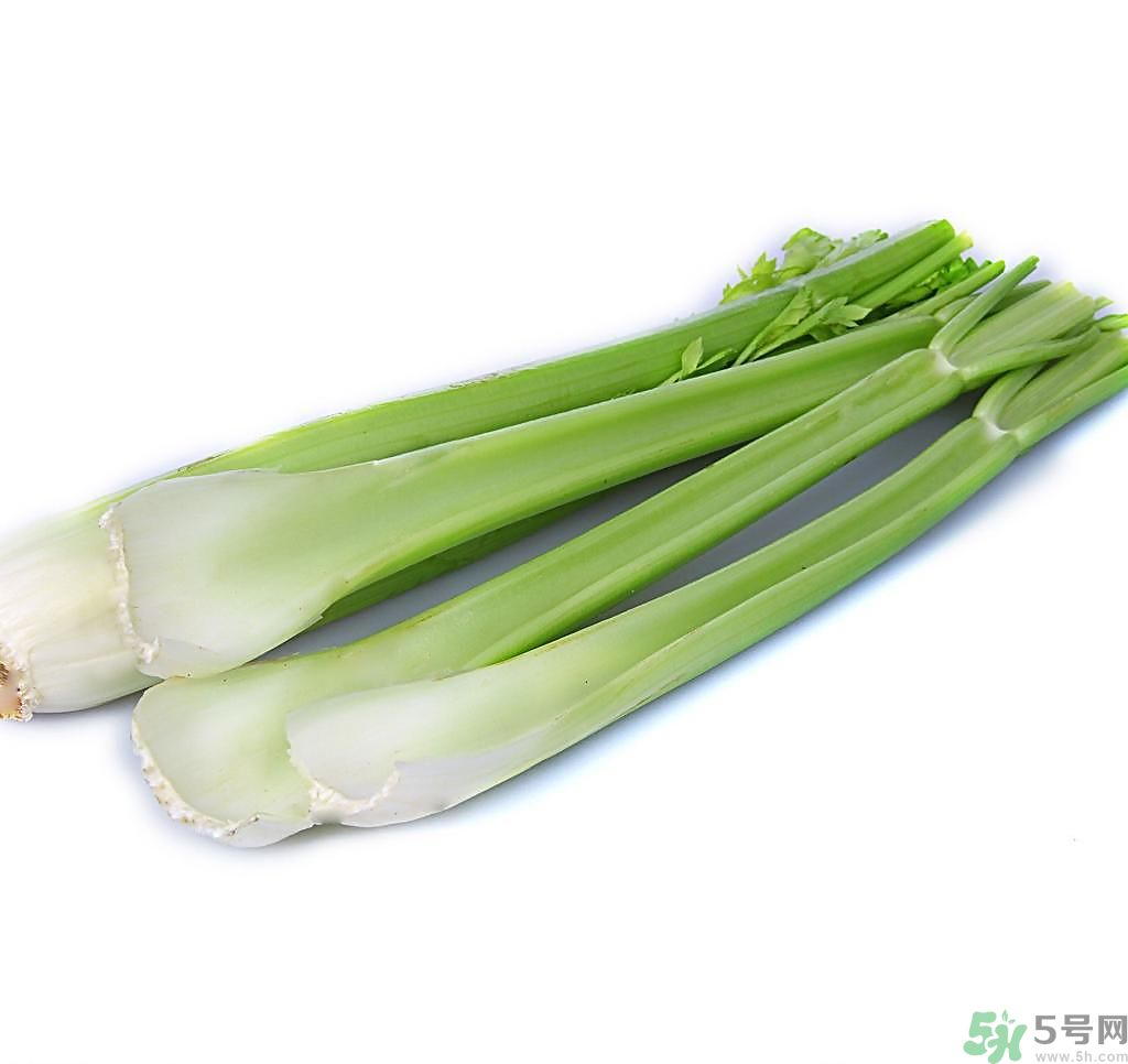 芹菜可以減肥嗎？芹菜有什么功效？