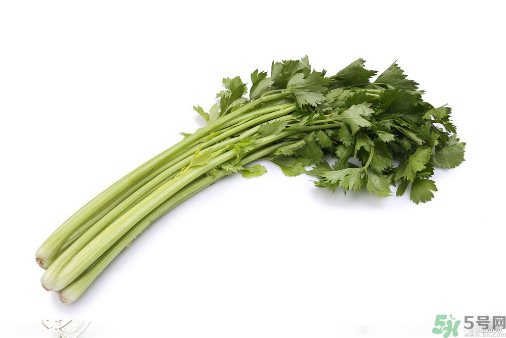 芹菜可以減肥嗎？芹菜有什么功效？