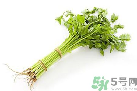 芹菜可以減肥嗎？芹菜有什么功效？