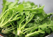 薺菜為什么要焯水？薺菜要用開水燙嗎？