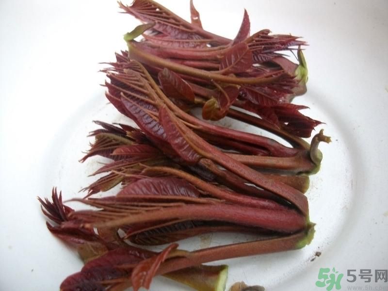 香椿好吃嗎？香椿可以做菜嗎？