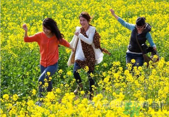 清明節(jié)的習(xí)俗有哪些？清明節(jié)吃什么？