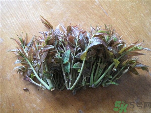 香椿怎么吃才安全？吃香椿的最佳時(shí)間是什么時(shí)候？