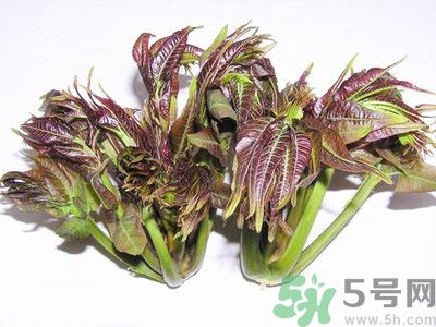 吃香椿有什么好處？香椿可以預(yù)防疾病嗎？