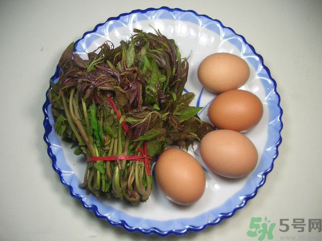 怎么挑選香椿呢？挑選香椿的小竅門？