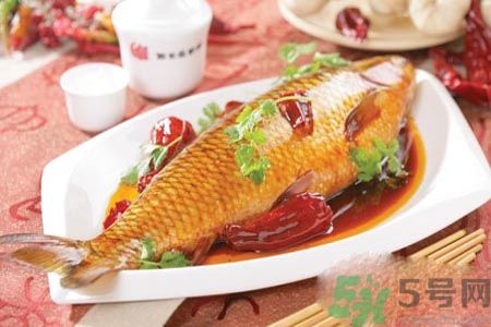 怎么挑選魚？挑魚的技巧有哪些？