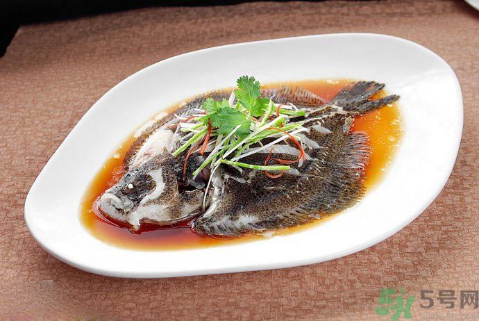 怎么挑選魚？挑魚的技巧有哪些？