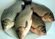 怎么挑選魚？挑魚的技巧有哪些？