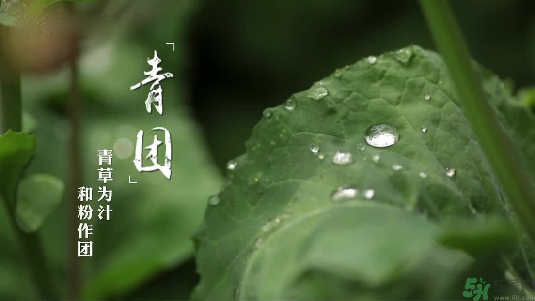 什么人不能吃青團(tuán)？吃青團(tuán)要注意什么？