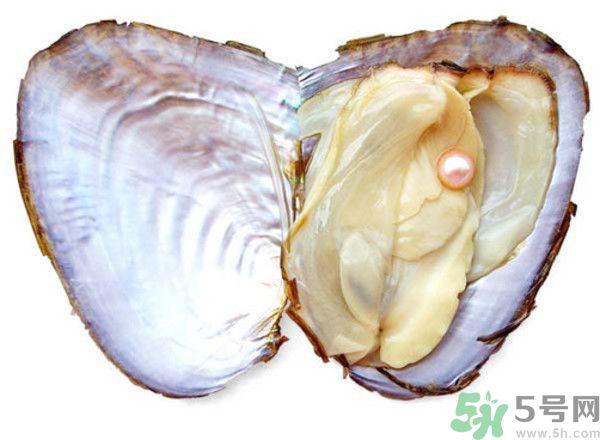 河蚌什么時(shí)候吃最好？吃河蚌有什么好處？