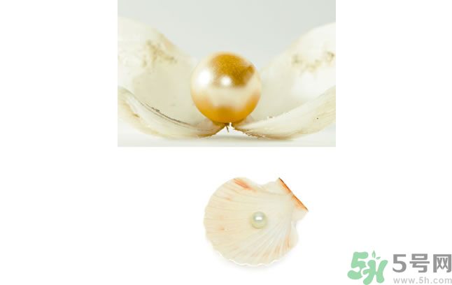 河蚌怎么炒才不會老？炒河蚌要注意什么？