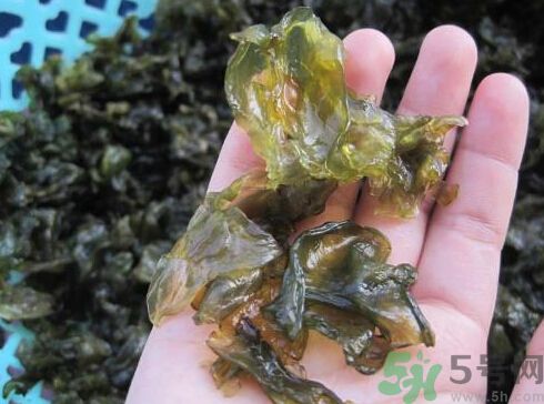 地皮菜孕婦能吃嗎？地皮菜孕婦吃好嗎？