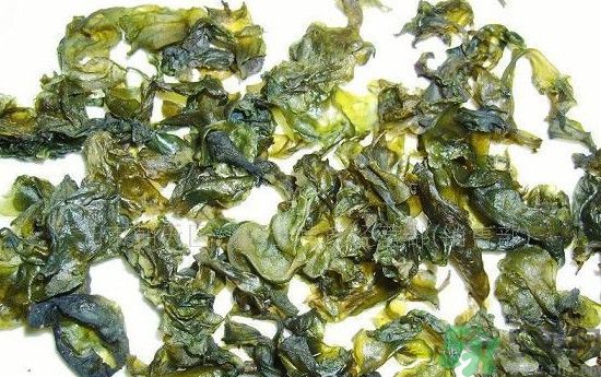 地皮菜可以炒山藥嗎？地皮菜炒山藥能吃嗎？