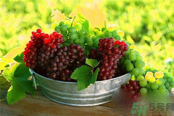 高血脂吃什么水果好？什么水果可以降血脂？