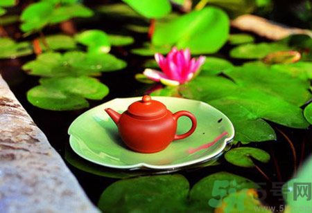 降血脂的茶有哪些？什么茶可以降血脂？